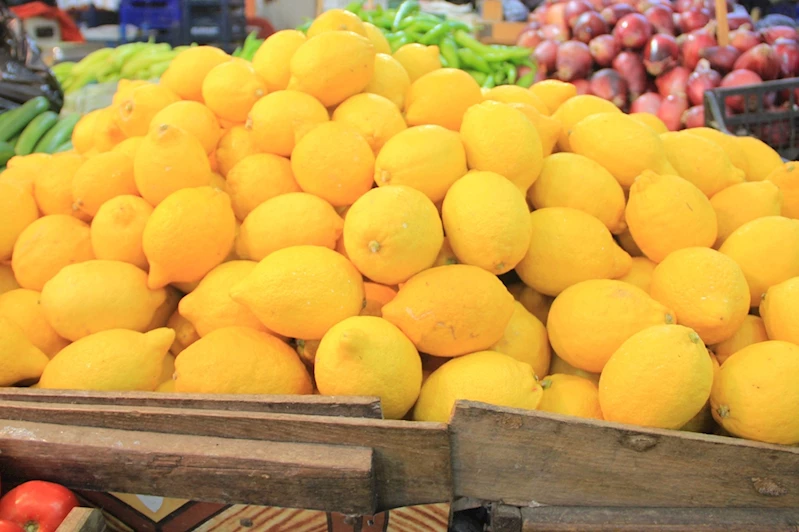 Limon ihracatı geçici olarak durduruldu