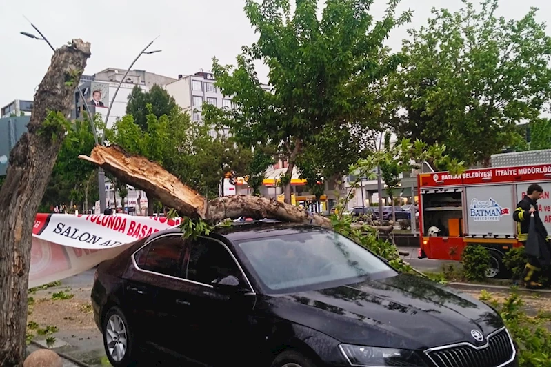 Batman’da şiddetli fırtınada ağaç devrildi, park halindeki araç hasar gördü