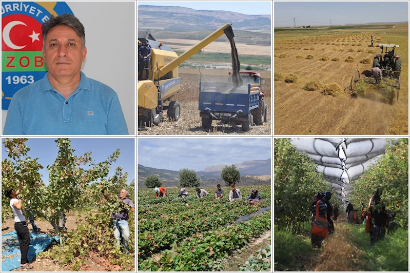 Ziraat Mühendisi Doğan: Çiftçiler iklim değişikliğiyle yalnız bırakılamaz