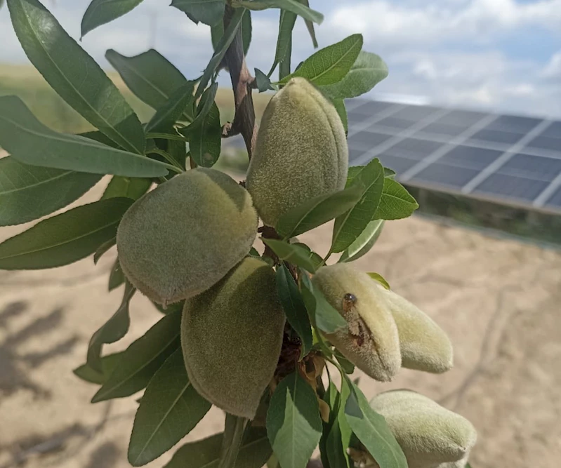 Dolu Yağışı Sonrası Kahta