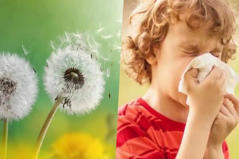 Çocuk Alerji Uzmanı Dr. Hafızoğlu: Çocuğunuzun alerjisini hafife almayın