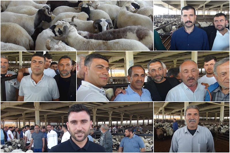 Besiciler girdi maliyetlerinin yüksek olmasından şikayetçi