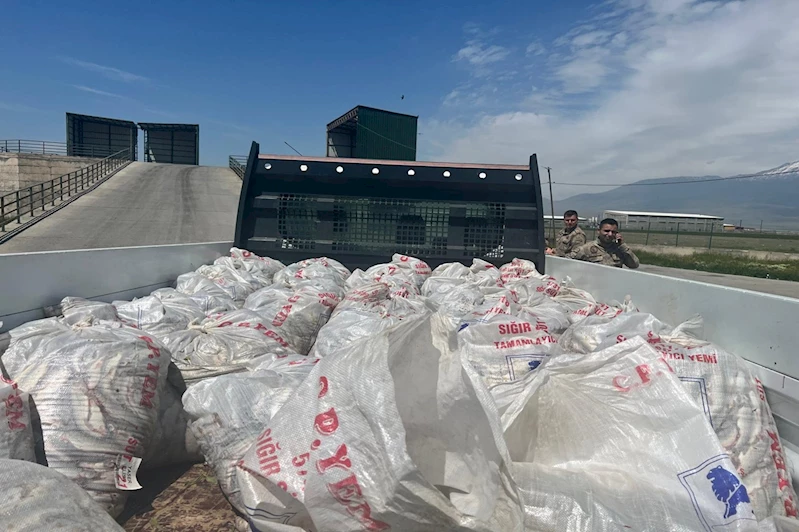 Kaçak yollar ile taşınan 2 ton inci kefali Ağrı