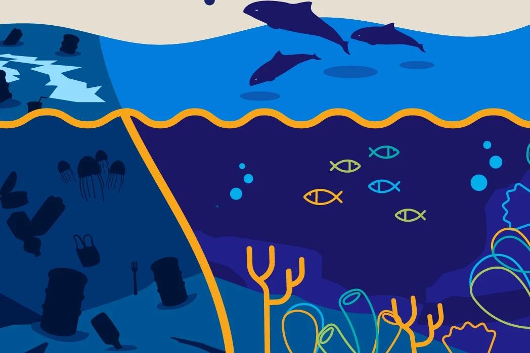 Marmara Denizi Günü bu yıl 3 Haziran’da 