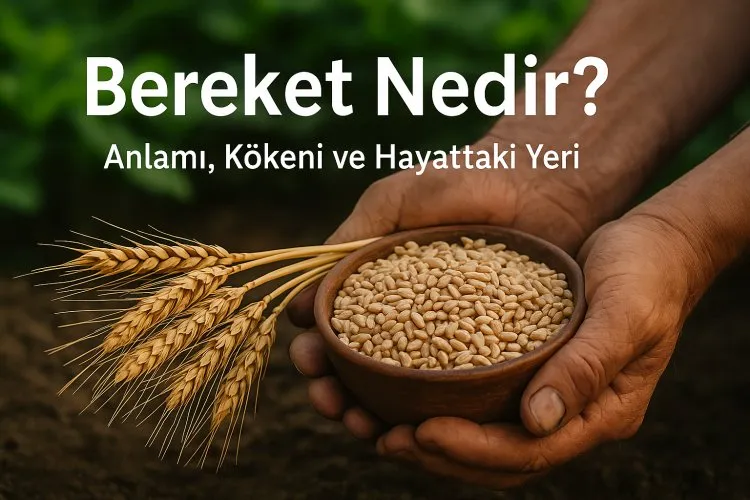 Bereket Nedir? Anlamı, Kökeni ve Hayattaki Yeri