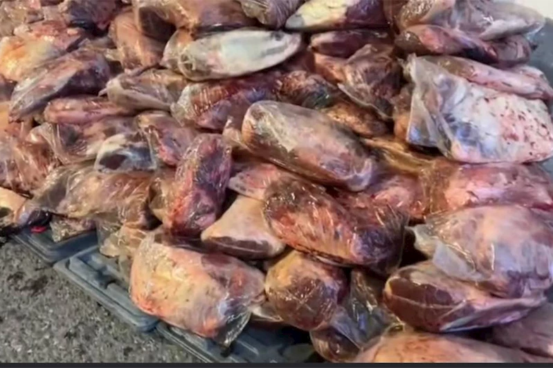 Şanlıurfa’da 1,7 ton kaçak et ele geçirildi