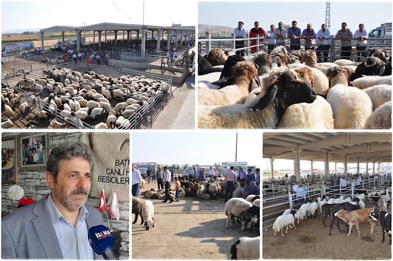 Besicilerden bayram öncesi açıklama: Kurbanlık sıkıntısı yok