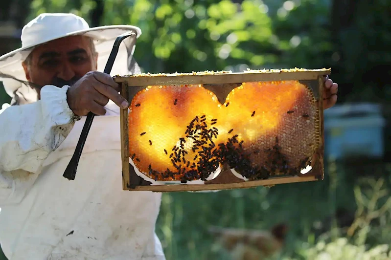 Piyasadaki taklit ve hileli gıda ürünü sayısı bin 418
