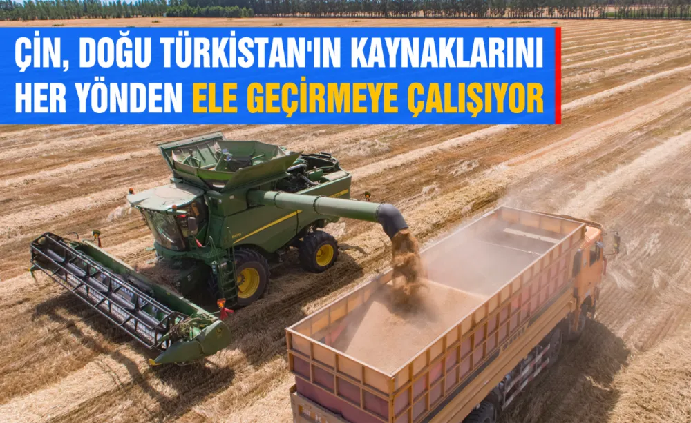 ÇİN, DOĞU TÜRKİSTAN