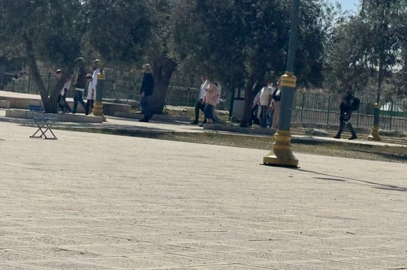 Onlarca siyonist yerleşimci Mescid-i Aksa avlularını kirletti