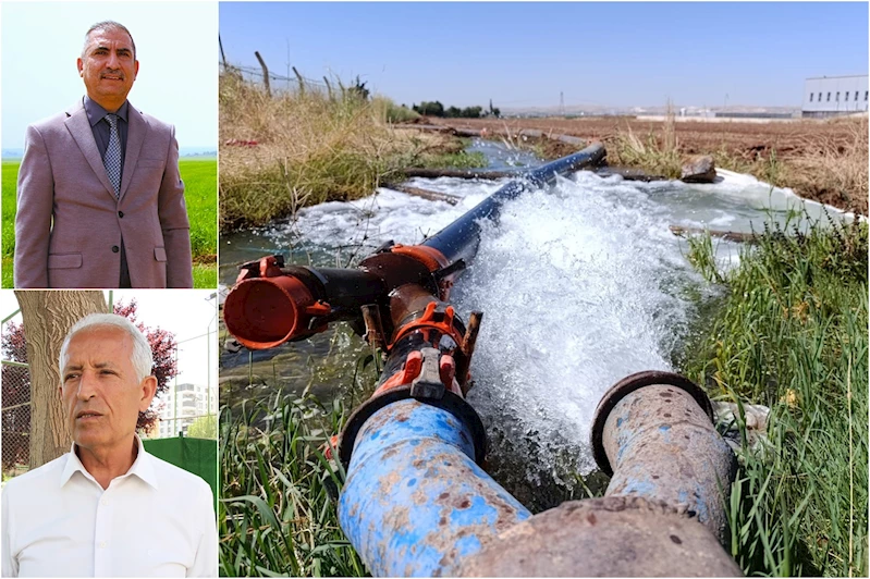 Bilim insanları uyarıyor: 