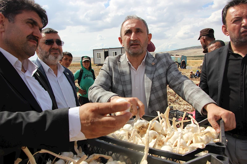 Gaziantep Milletvekili Demir sarımsak üreticisini dinledi