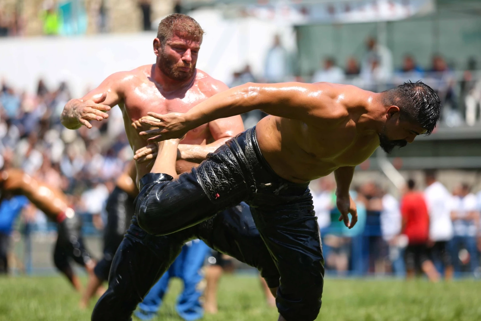 63. Geleneksel Tarihi Yağlı Güreşleri için geri sayım başladı