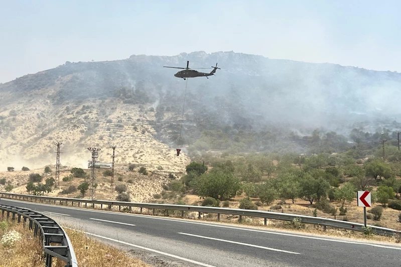 Mardin’deki orman yangını kontrol altına alındı