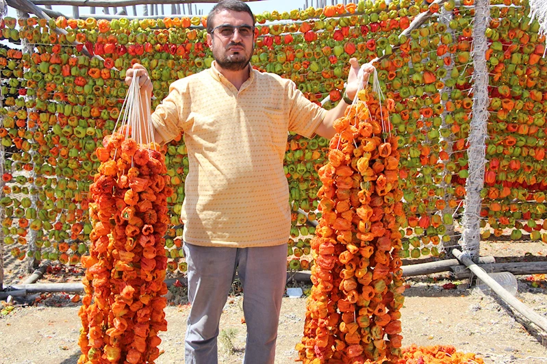 Kış sofraların vazgeçilmezlerinden kurutmalık mevsimi başladı