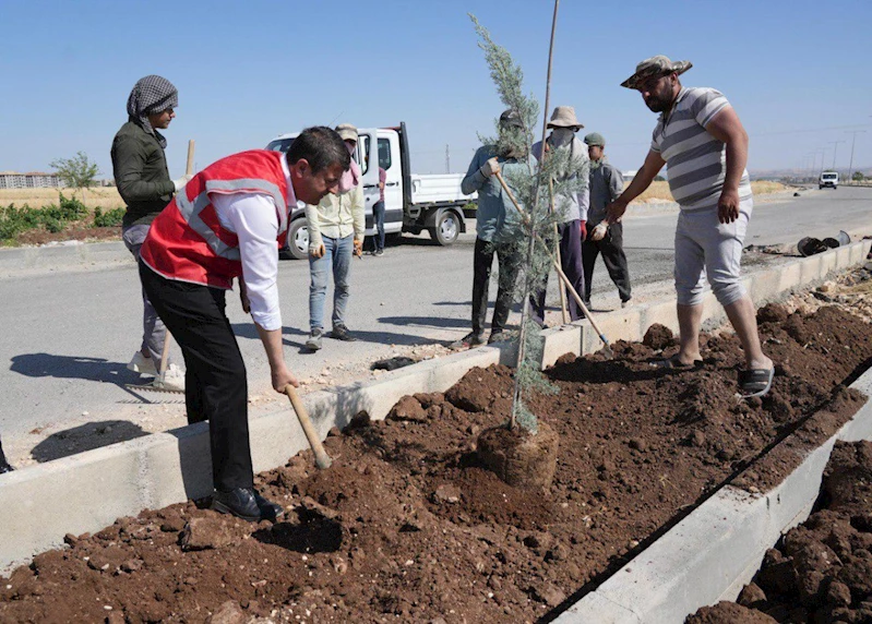 Başkan Tutdere, Mersin Caddesi ve Örenli Mahallesi’ndeki dönüşüm çalışmalarını yerinde inceledi  - Videolu Haber