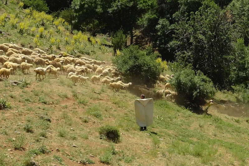 Elektrik ve su sorunu küçükbaş hayvan üreticilerini bezdirdi