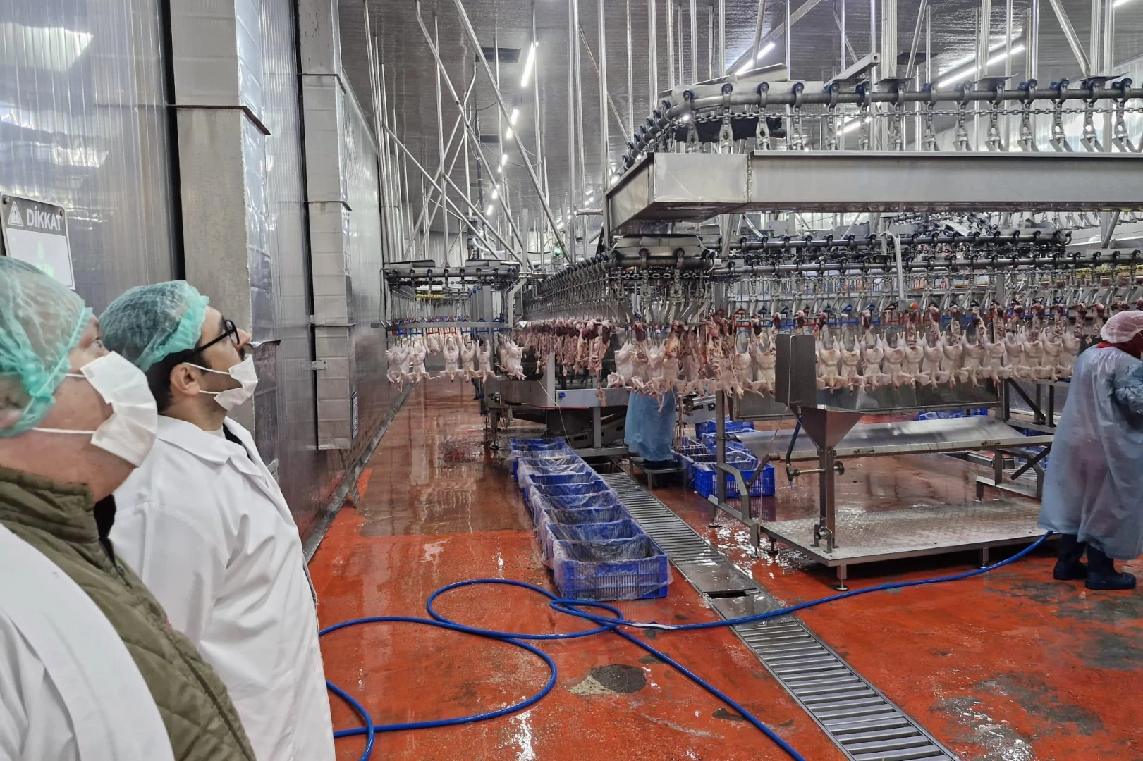 Sakarya’da kanatlı hayvan işletmelerine sıkı denetim