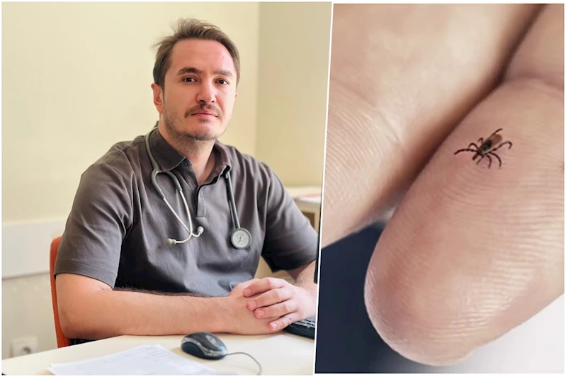 İçten: Kene ne kadar erken çıkarılırsa hastalık riski o kadar azalır