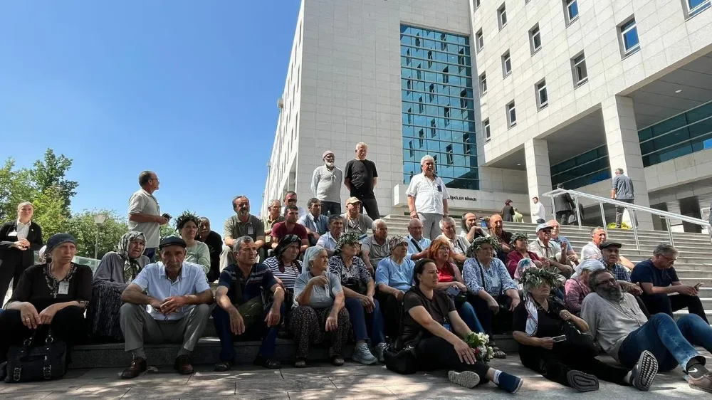 TBMM’de zeytinlik alanlar için karar çıktı!