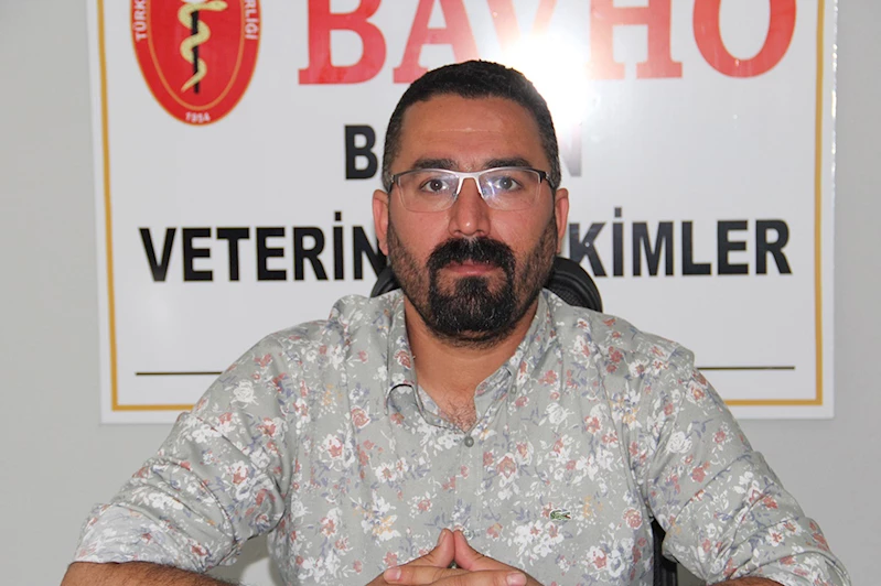 Batman Veteriner Hekimleri Odasından, yaban atlarının katledilmesine tepki