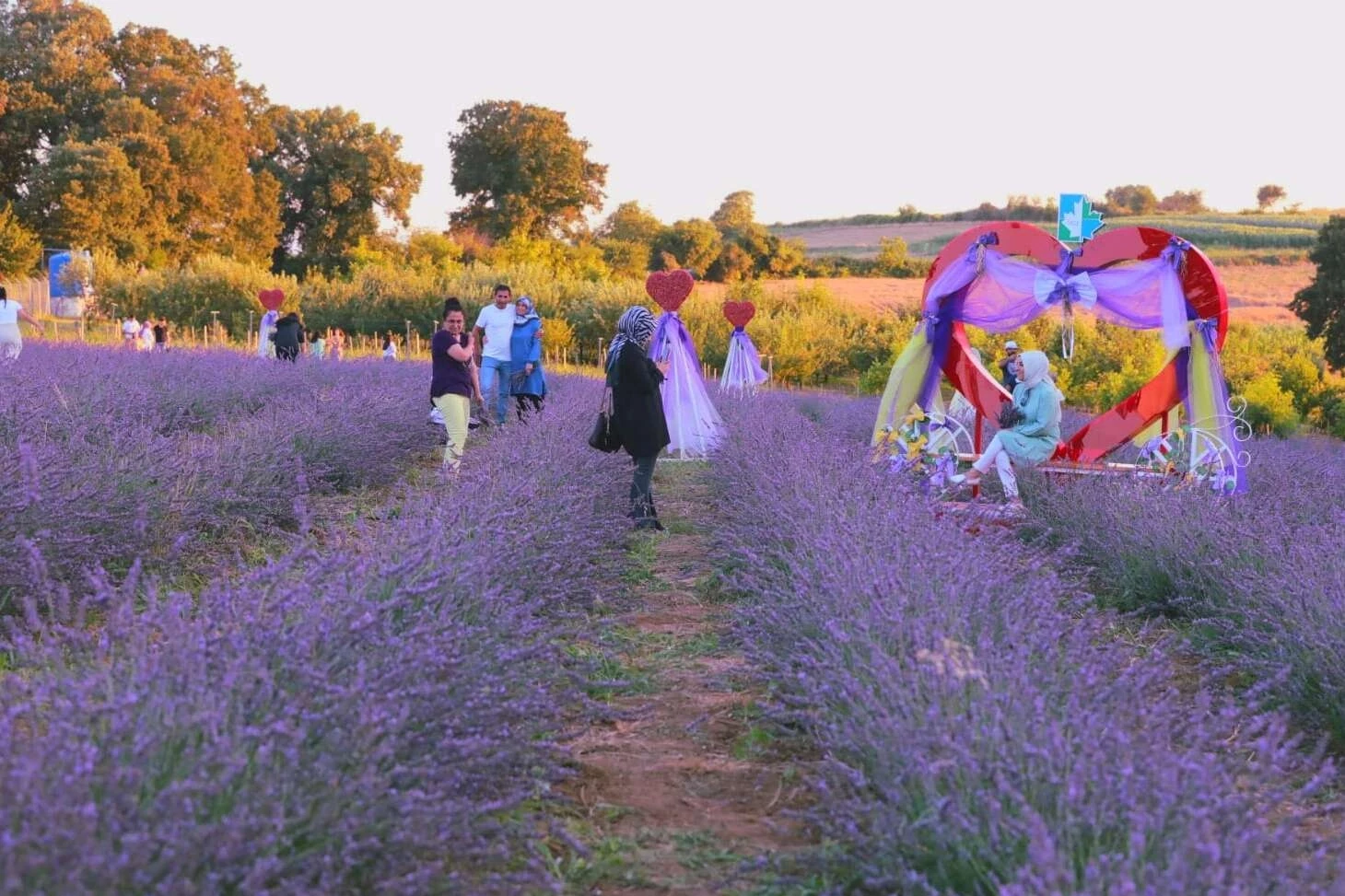 Lavanta kokusu İzmit’i saracak