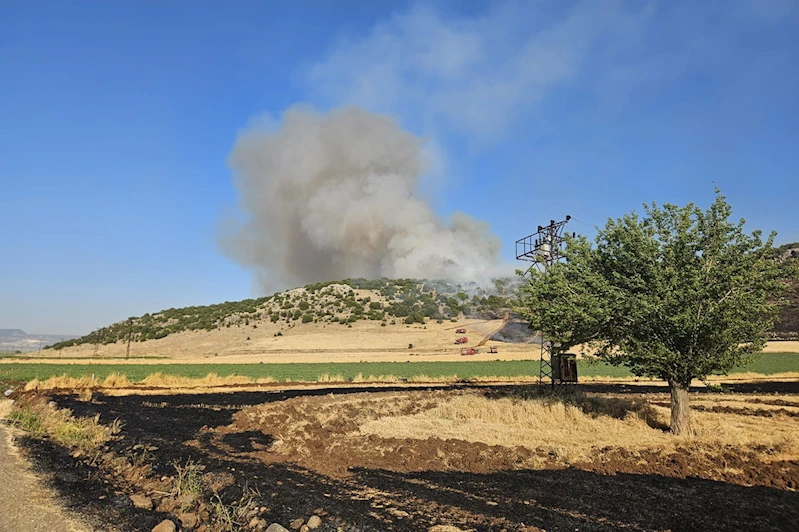 Anız yakan şahsa idari para cezası kesildi