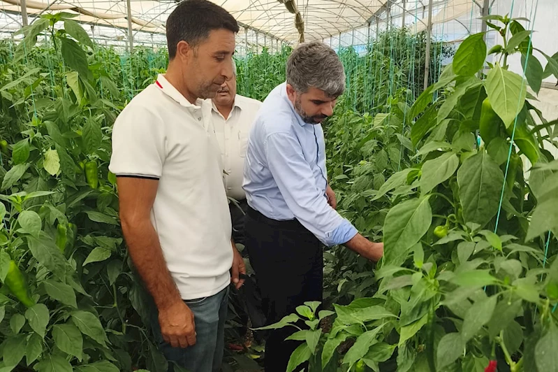 HÜDA PAR Milletvekili Dinç, çiftçilerin sorunlarını dinledi