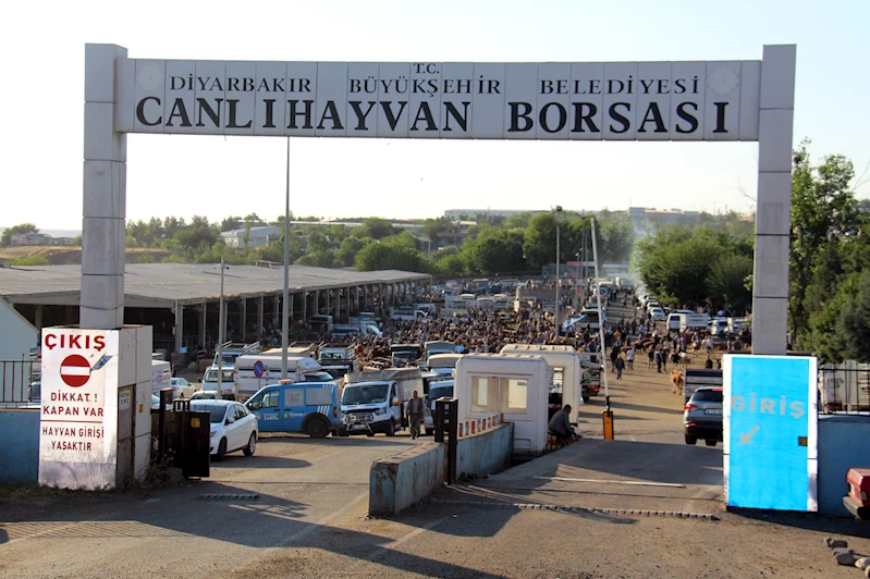 Besiciler: Kurbanlıklarda bu yıl fiyat aynı ama talep yok
