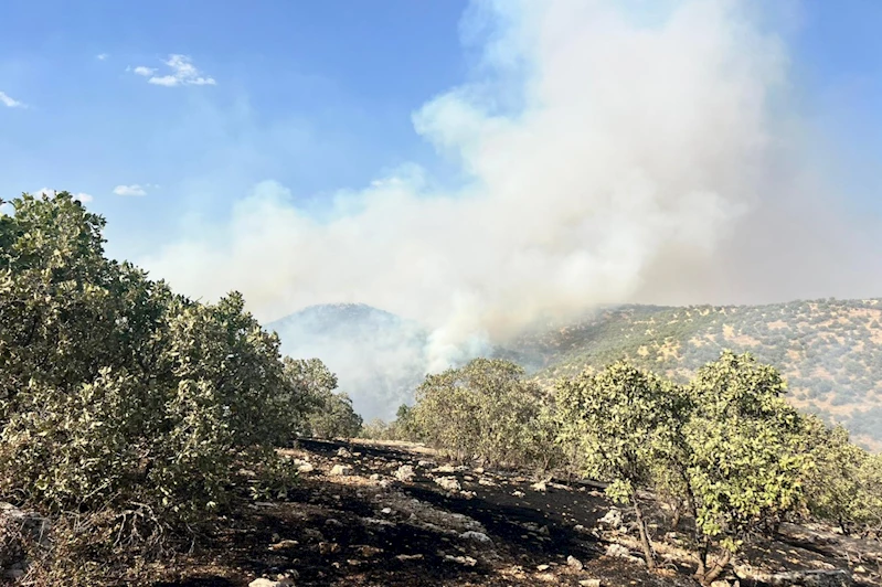 Mardin’de çıkan orman yangını yaklaşık 10 saat sonra kontrol altına alındı