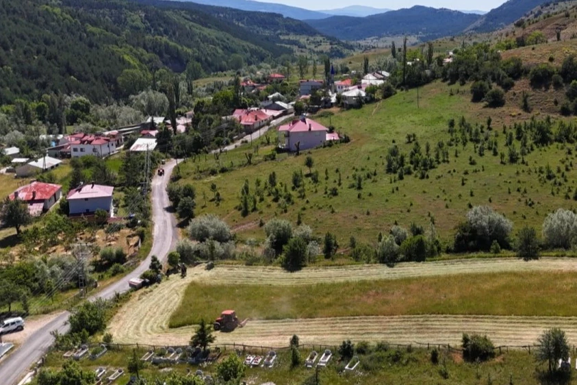 Ordu