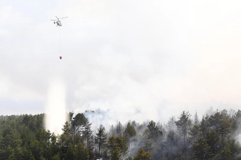 İzmir’de 2 ayrı noktada orman yangını: Hava ve karadan müdahale sürüyor