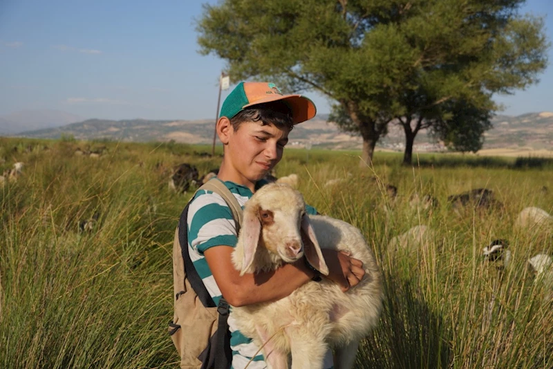 Gölbaşı’nda doğa, fotoğrafla buluştu: Nilüferden ayçiçeğine, yıldızlardan tren garına bir keşif turu  - Videolu Haber