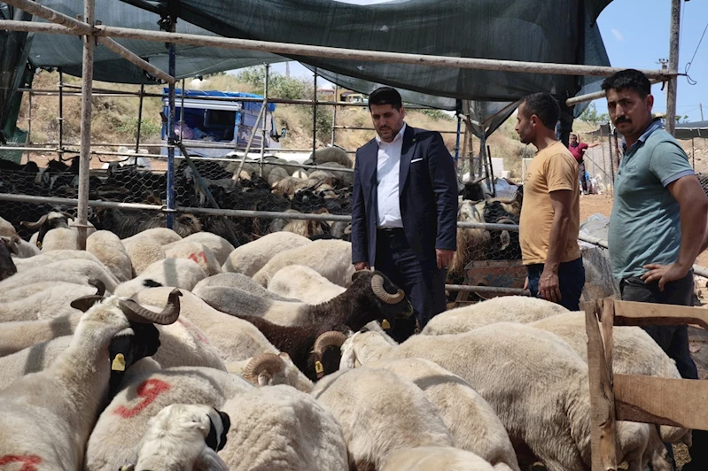 HÜDA PAR Antalya İl Başkanı Durmaz, bayram öncesi kurban pazarını ziyaret etti