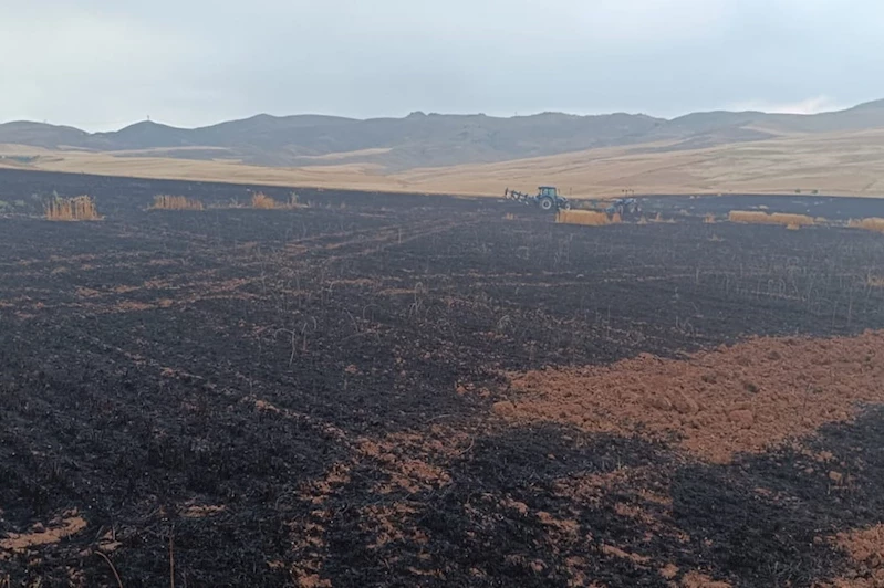 Siirt’te buğday tarlasında yangın: Hasat bekleyen ekinler kül oldu