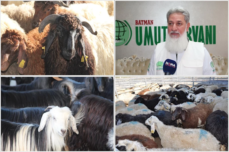 Umut Kervanı, bayramda binlerce aileye kurban eti ulaştıracak