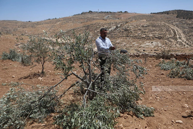 Yahudi çeteler Batı Şeria