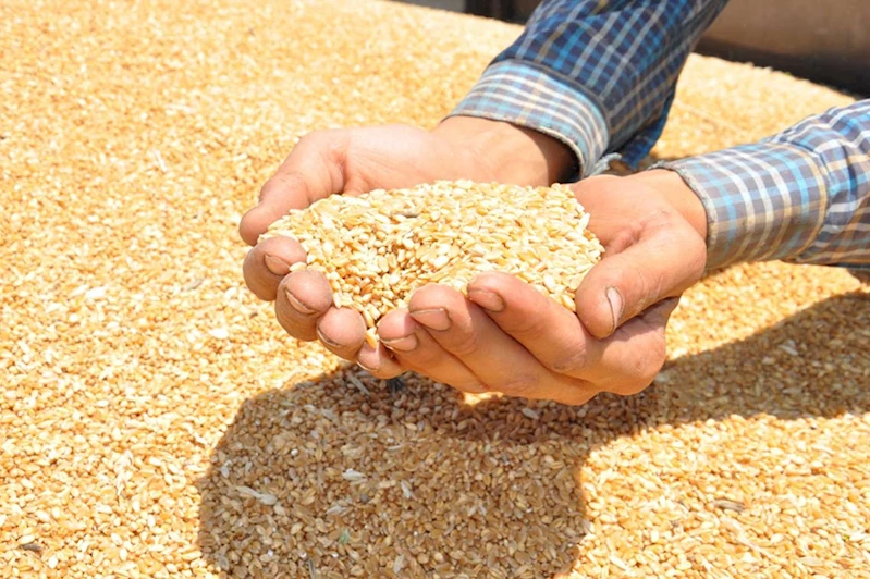 Hububat alım ödemeleri başladı