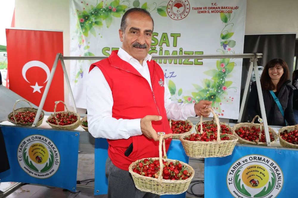 Zirai Don, Türkiye’nin Kiraz İhracatını Vurdu