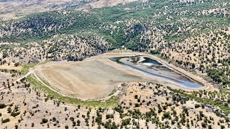 Sülüklü Göl’de büyük tehlike: Doğal cennet kuruyor, halk endişeli  - Videolu Haber