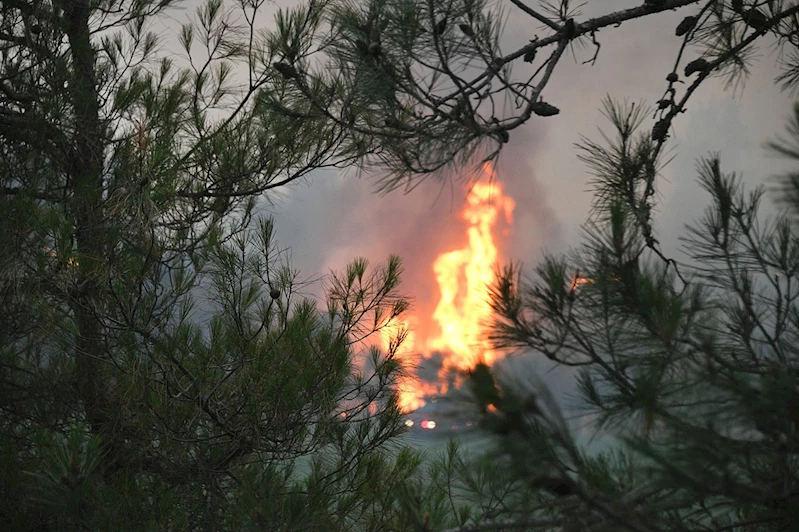 Bursa-Balıkesir sınırında orman yangını: 2 mahalle tahliye edildi, 2 gözaltı