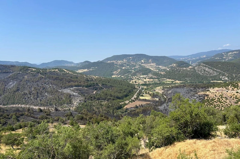 Bursa-Balıkesir sınırındaki orman yangını kontrol altına alındı