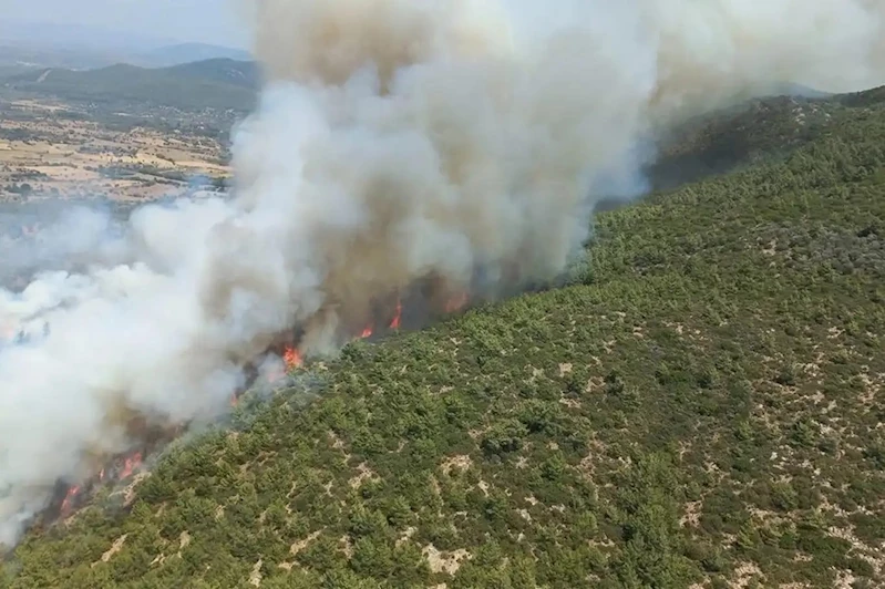 İstanbul Aydos Ormanı