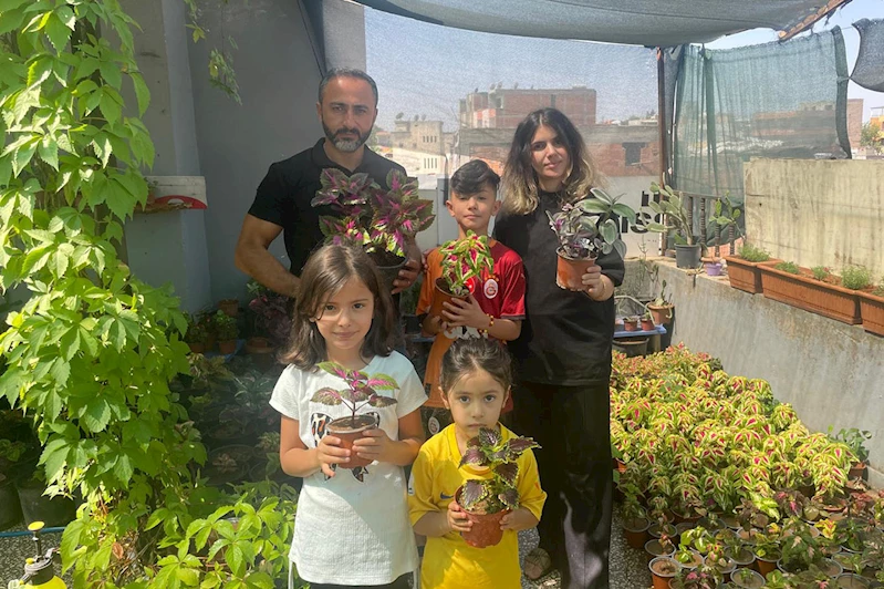 Çiçeklerle yeni bir hayat: Suriyeli ailenin Batman