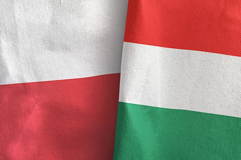 Polonya ile Macaristan arasında diplomatik kriz devam ediyor