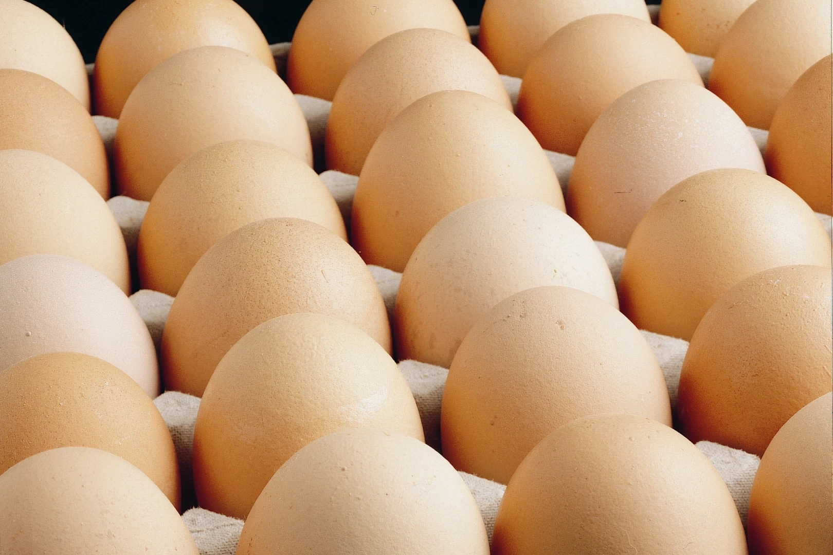 A sınıfı yumurtalarda 