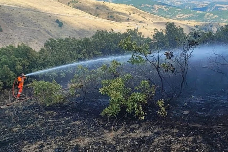 Bingöl’de son bir haftada dört orman yangını: Valilikten uyarı 
