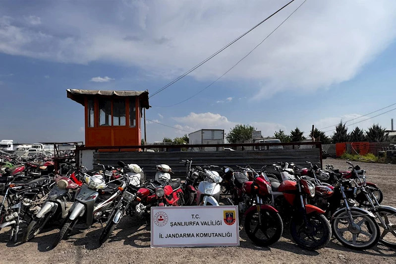 Şanlıurfa’da motosiklet hırsızlığı operasyonu: 7 şüpheli yakalandı