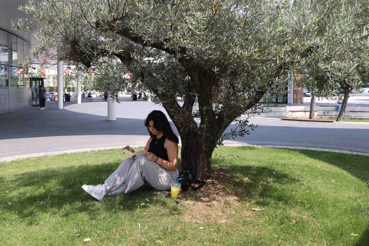 İzmit’in yeni cazibe noktası: Milli İrade Meydanı hayat buldu