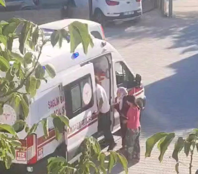 Köpeklerin saldırdığı yaşlı adam hastaneye kaldırıldı  - Videolu Haber